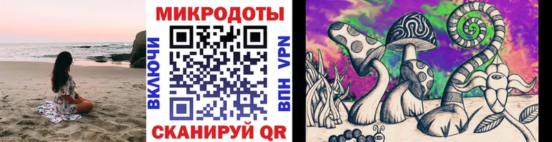 цены наркотик  Пугачёв  Псилоцибиновые грибы ЛСД 